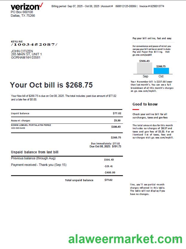 USA Verizon utility bill template in Word and PDF formats, version 3
